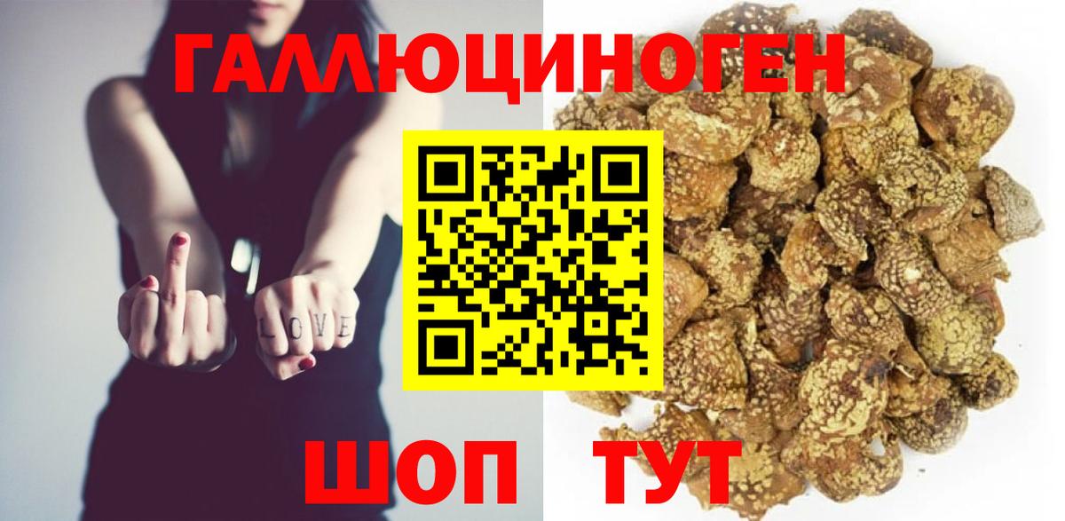 Галлюциногенные грибы ЛСД  как найти закладки  Магадан  Вход с VPN  Псилоцибиновые грибы мицелий 